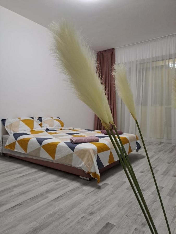 Happy Rental Apartments 2 크라이오바 외부 사진